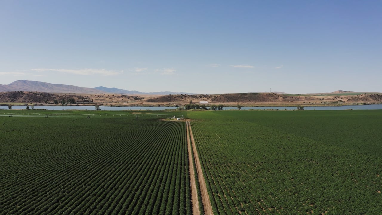 Aerial view of Diamond K Farms' potato fields and center-pivot irrigators beside the river