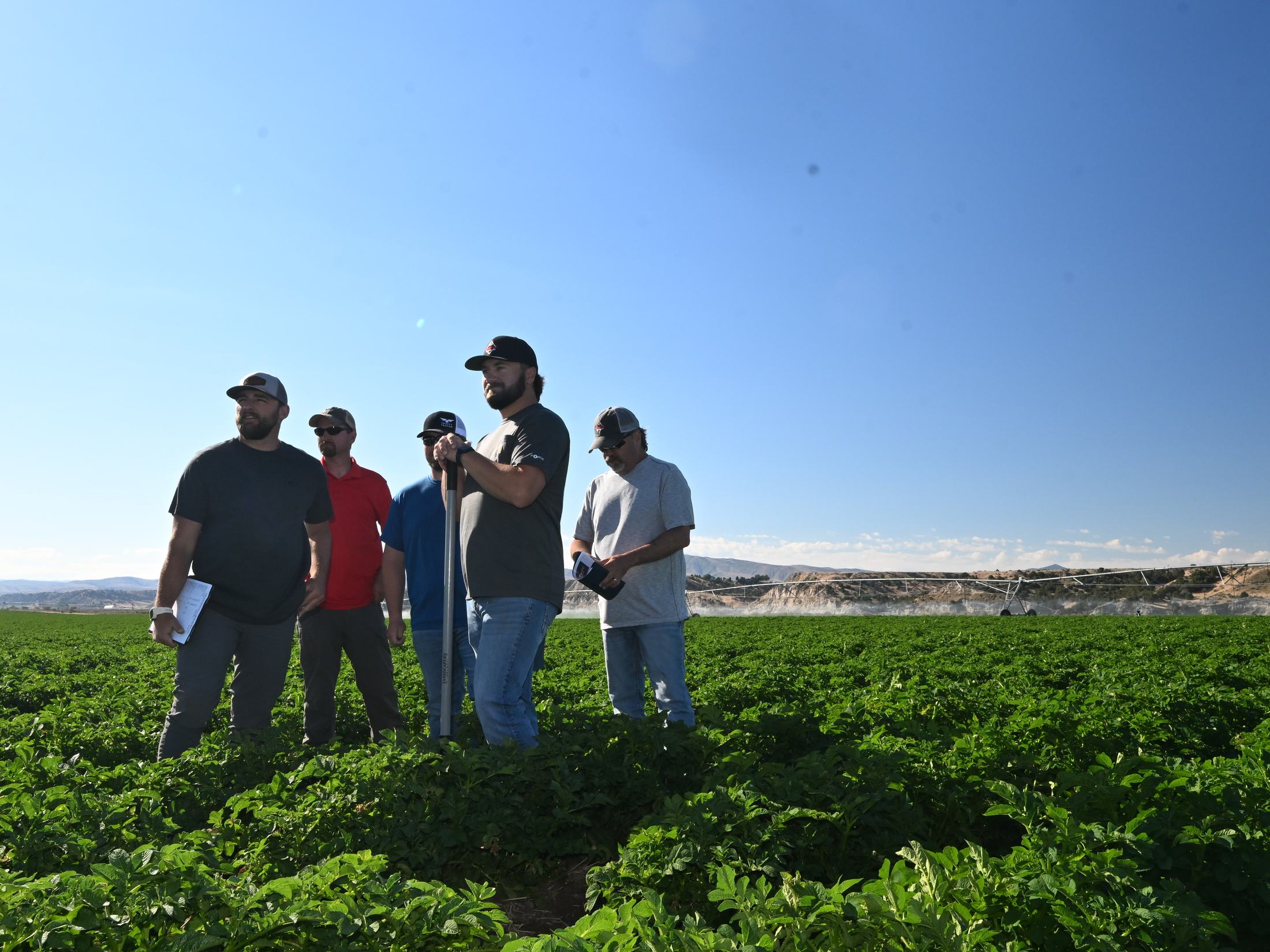 Five Diamond K Farms crew members standing in a potato field, with a center-pivot irrigator running behind them