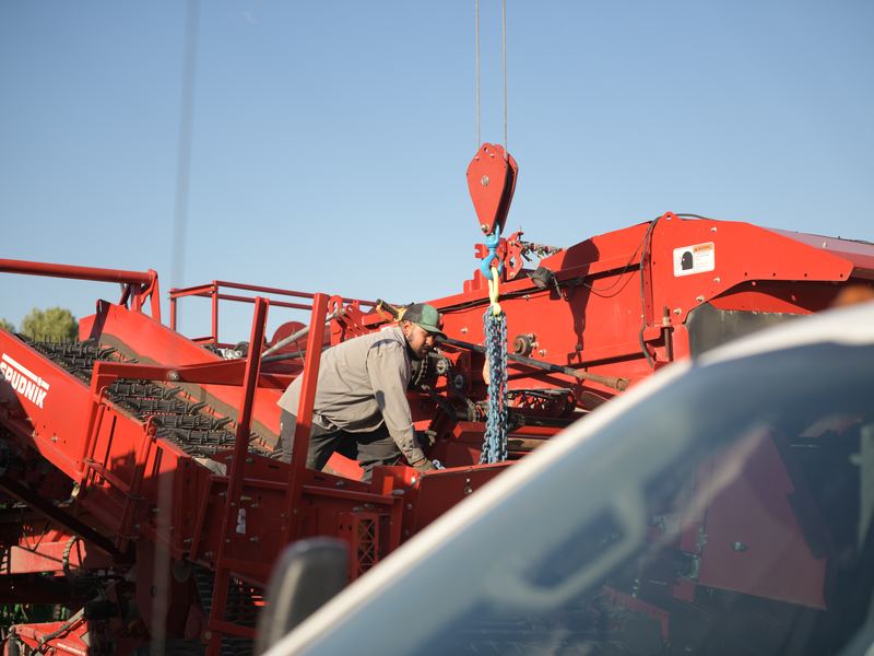 Worker guiding a potato harvester into position